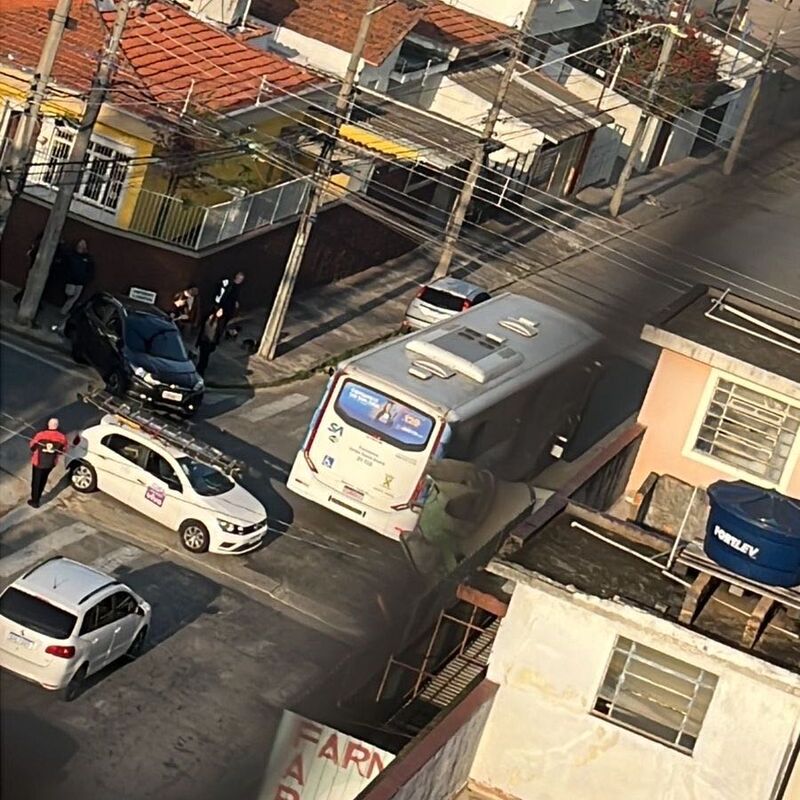 Imagem da publicação