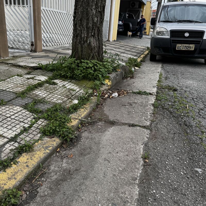 Imagem da publicação