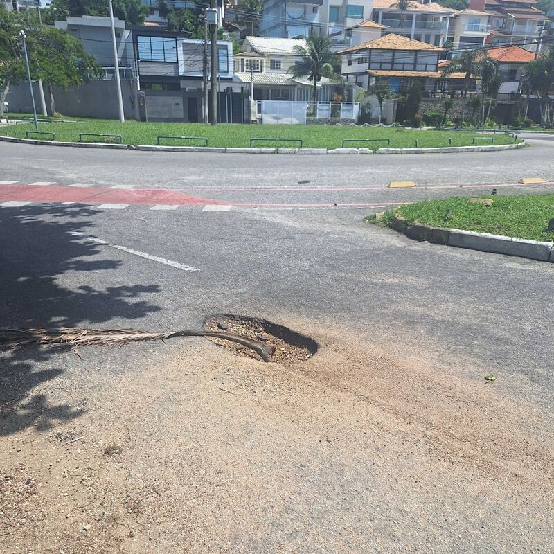 Imagem da publicação