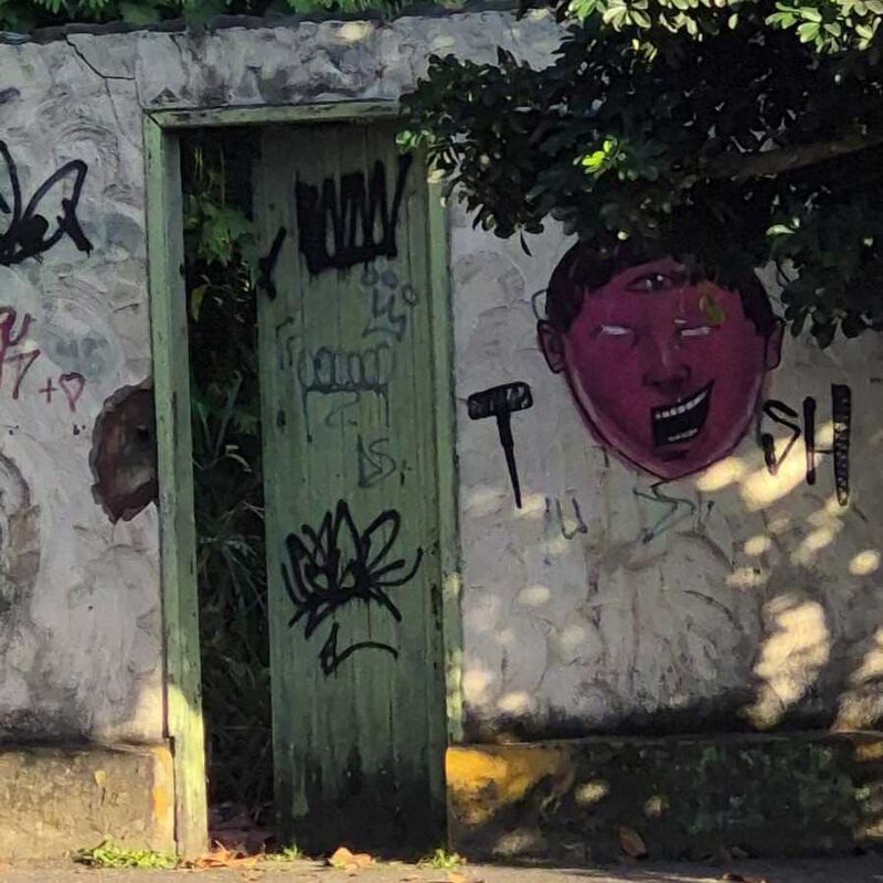 Imagem da publicação