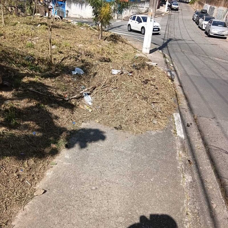 Imagem da publicação