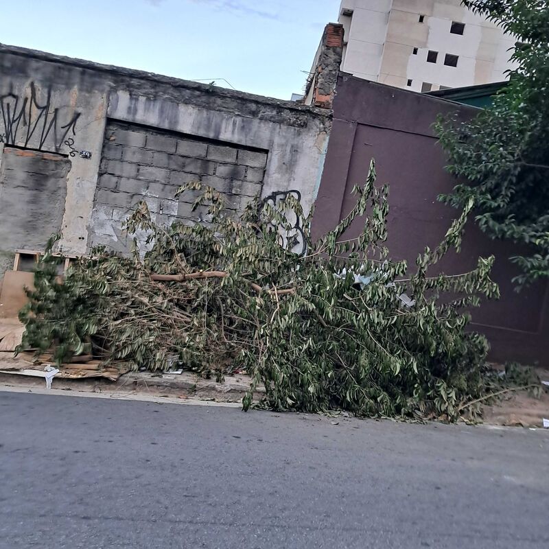 Imagem da publicação