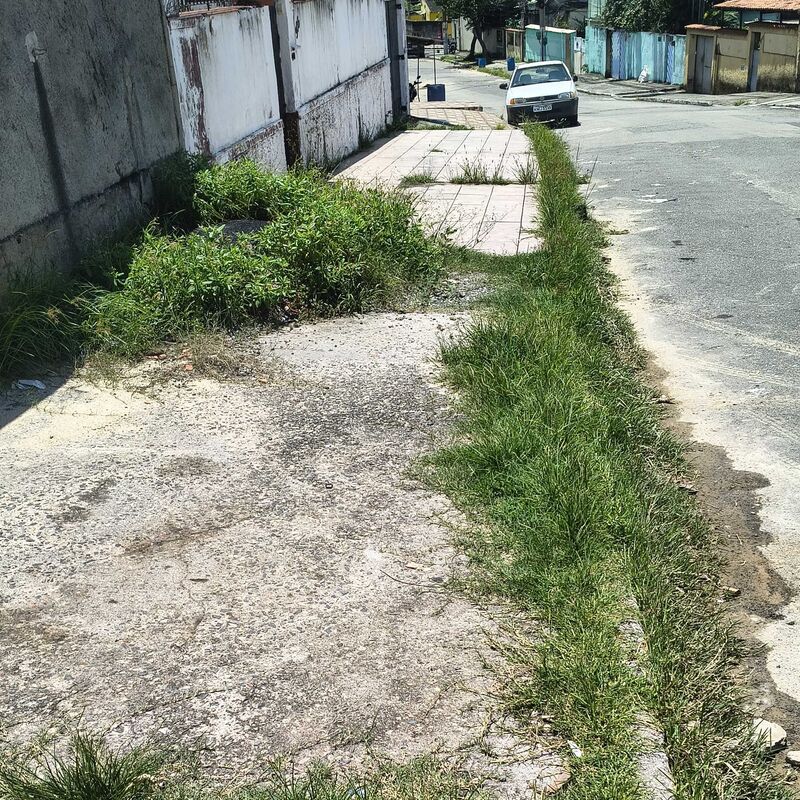 Imagem da publicação