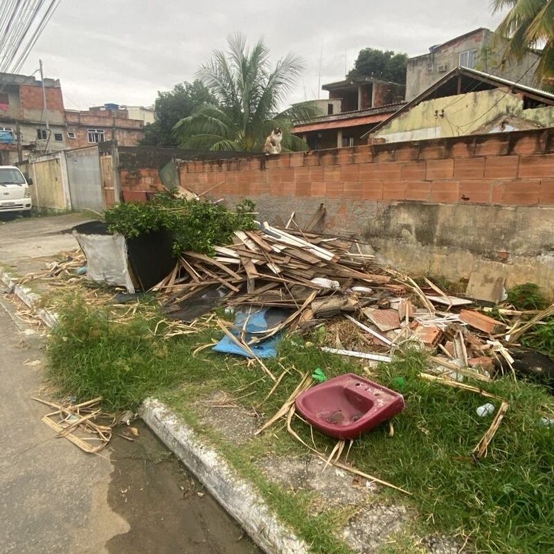 Imagem da publicação