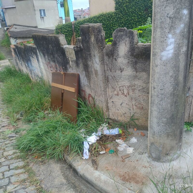 Imagem da publicação