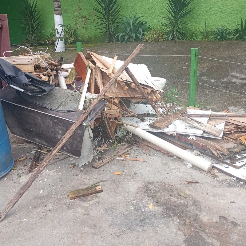 Imagem da publicação