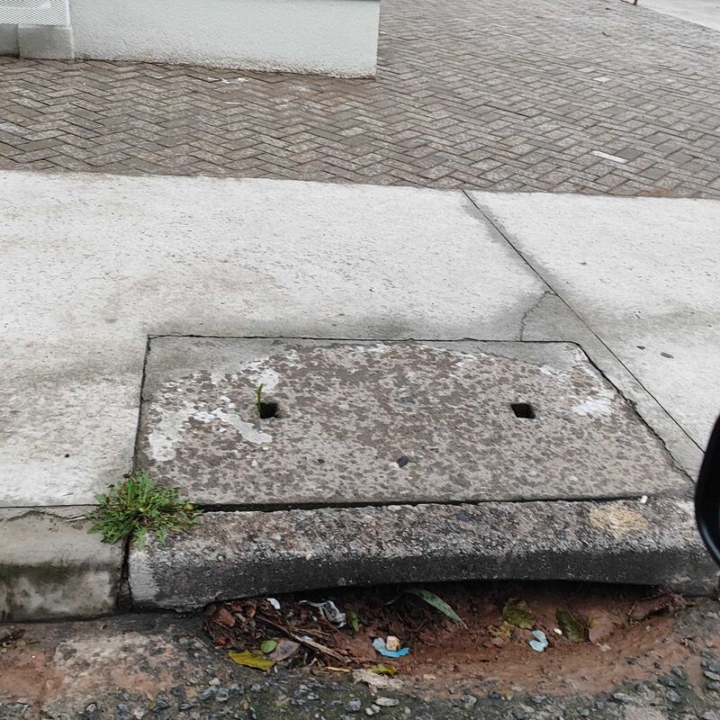 Imagem da publicação