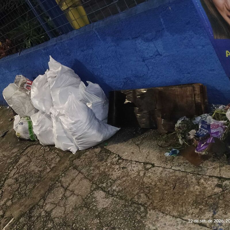 Imagem da publicação