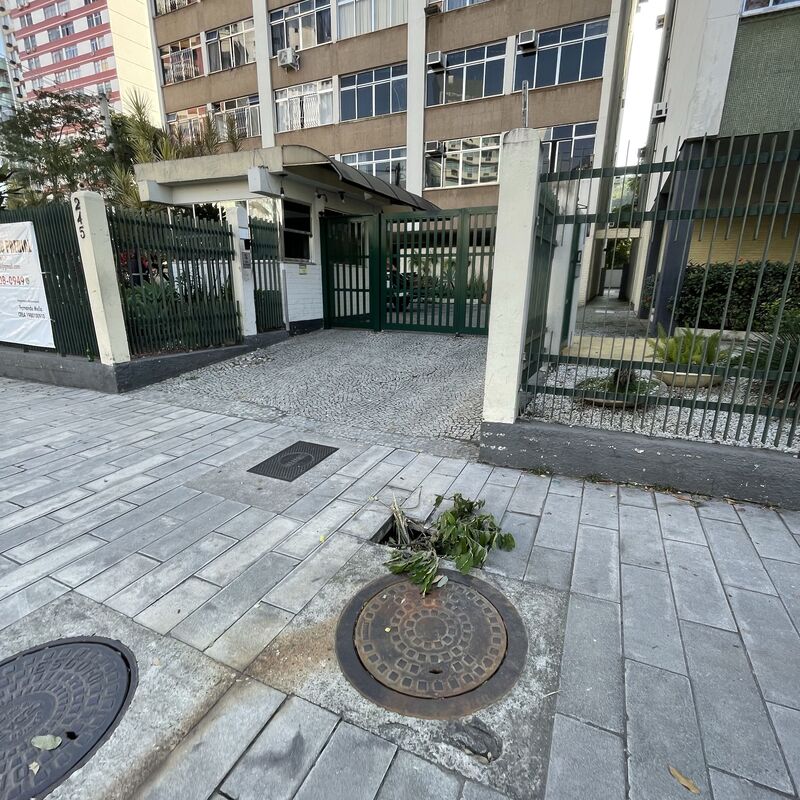 Imagem da publicação