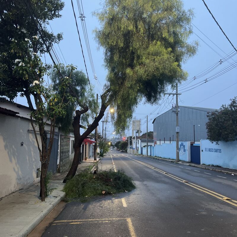 Imagem da publicação