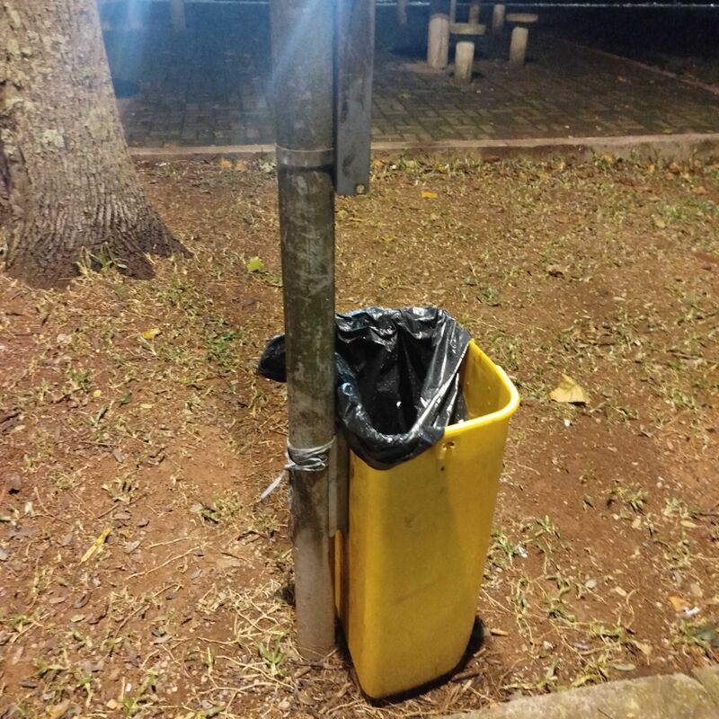 Imagem da publicação