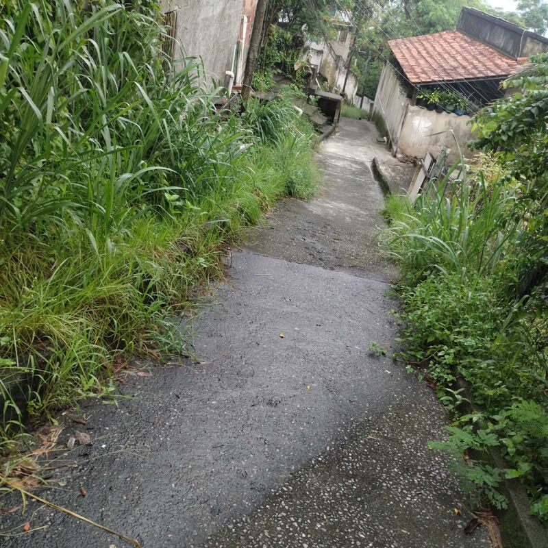 Imagem da publicação