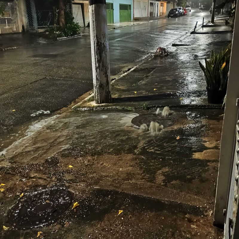 Imagem da publicação