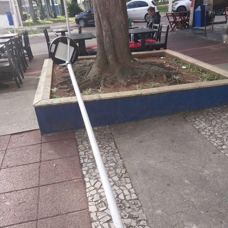 Imagem da publicação