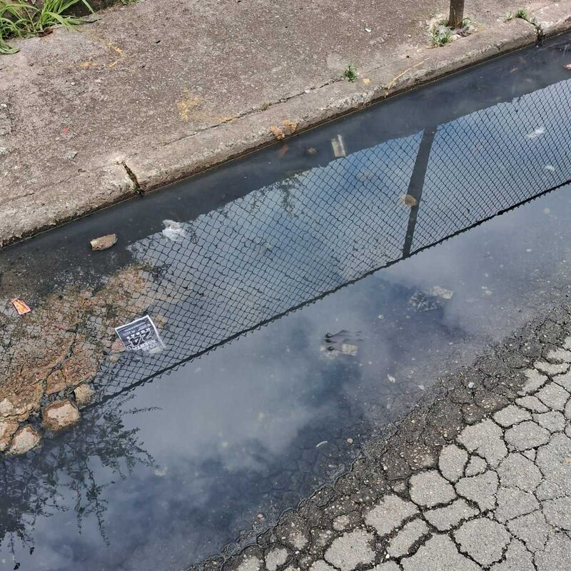 Imagem da publicação