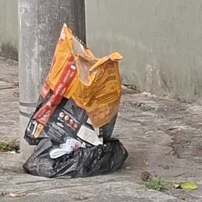 Imagem da publicação