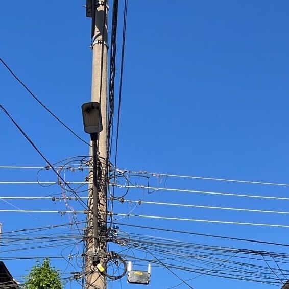 Imagem da publicação