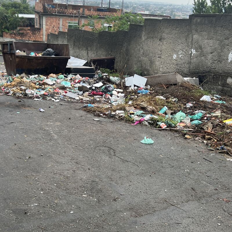 Imagem da publicação