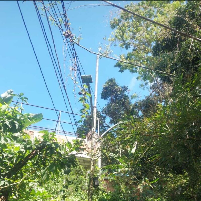 Imagem da publicação