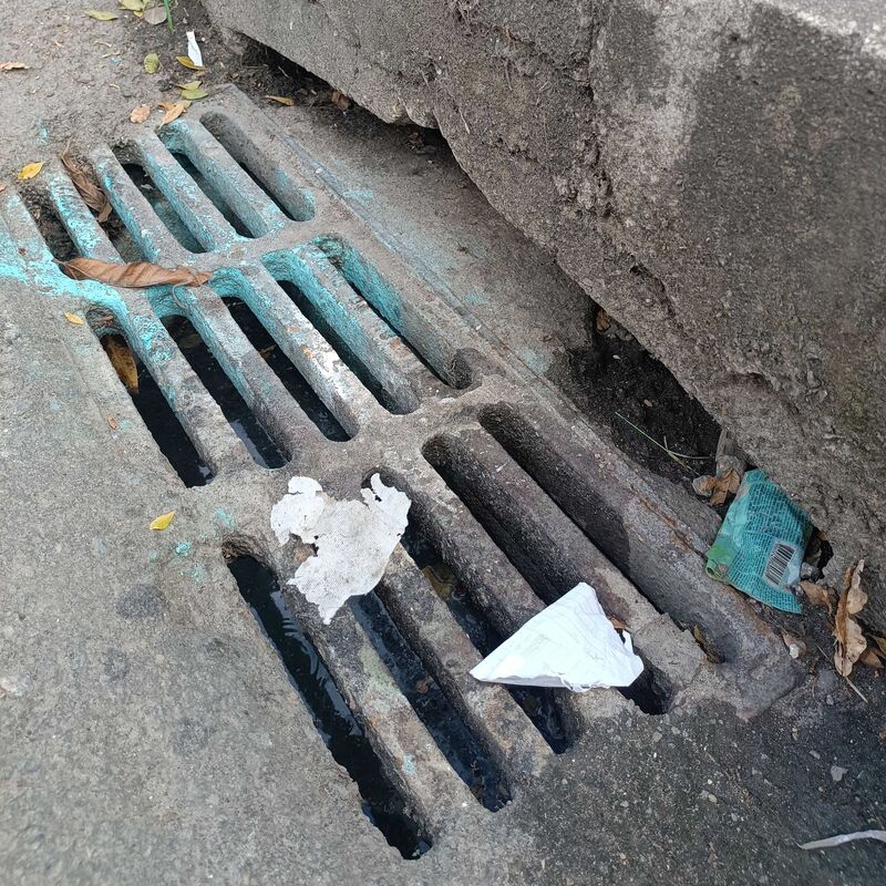Imagem da publicação