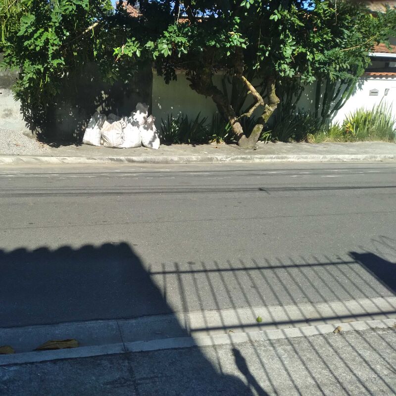 Imagem da publicação