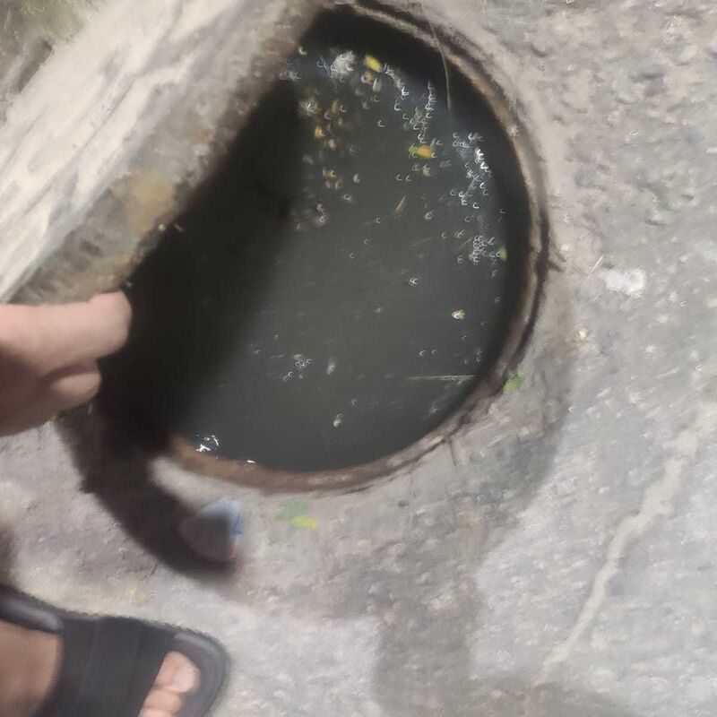Imagem da publicação