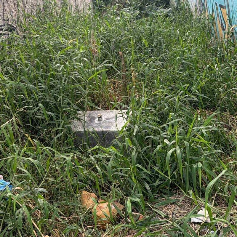 Imagem da publicação