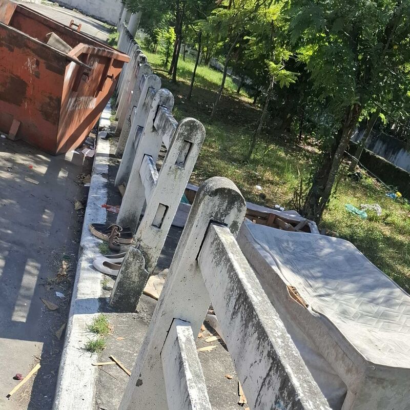 Imagem da publicação