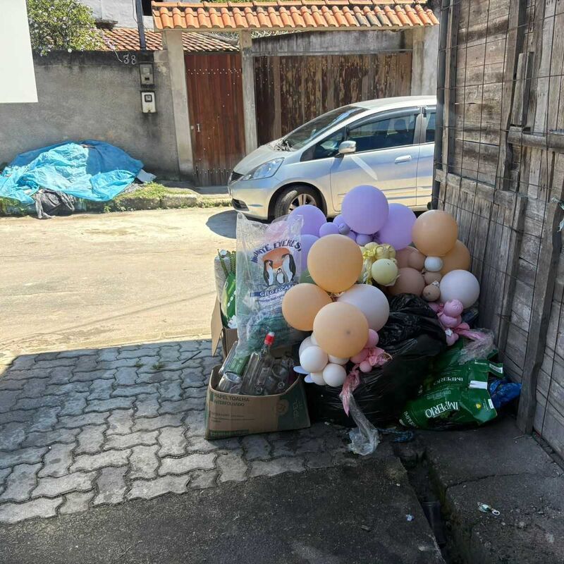 Imagem da publicação