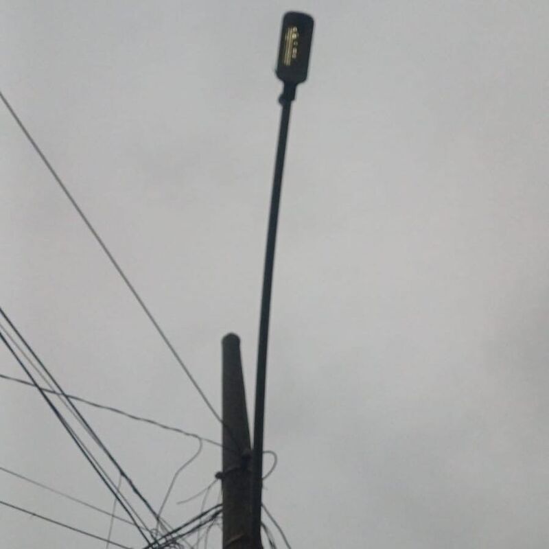 Imagem da publicação