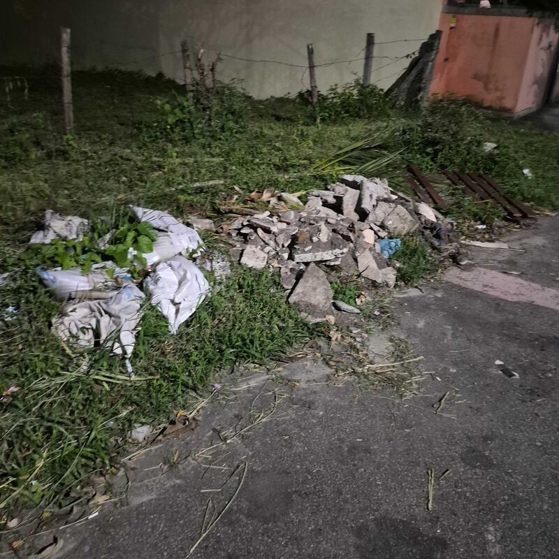 Imagem da publicação