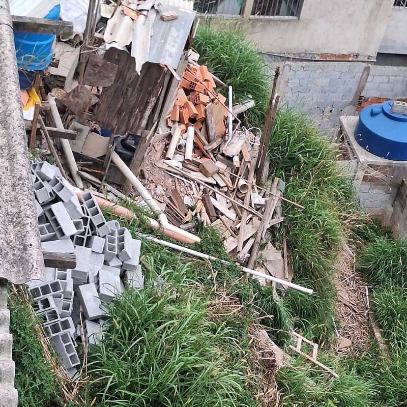 Imagem da publicação