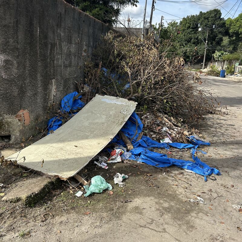 Imagem da publicação