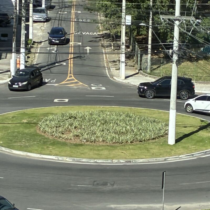 Imagem da publicação