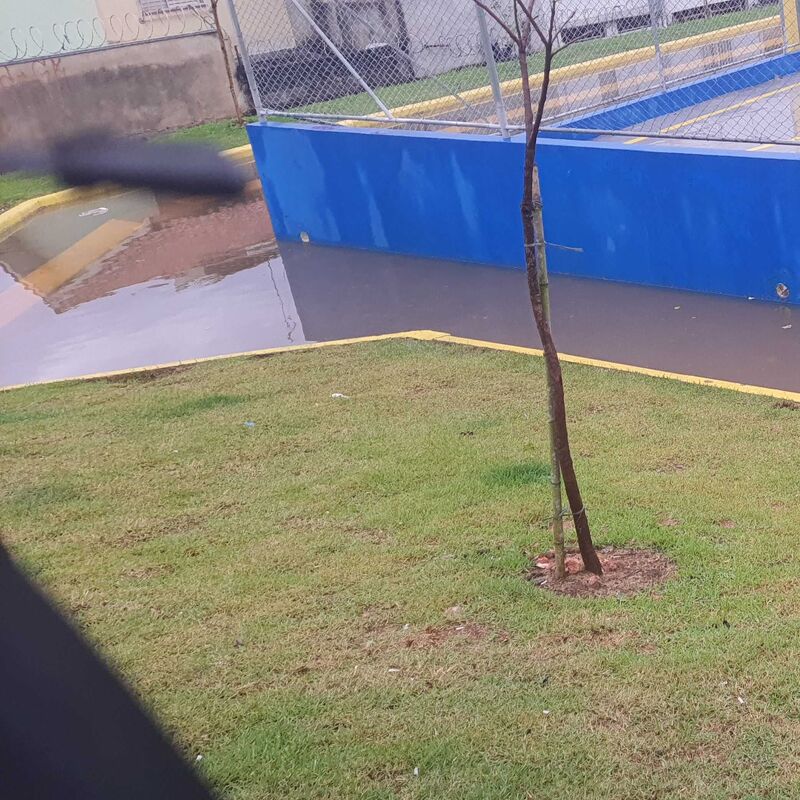Imagem da publicação