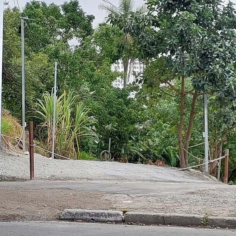 Imagem da publicação