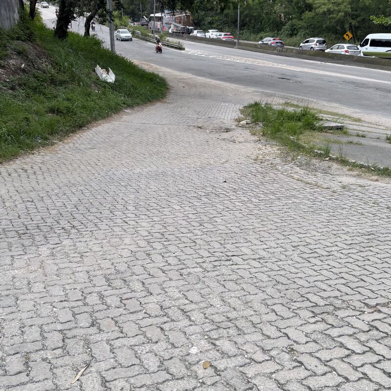 Imagem da publicação