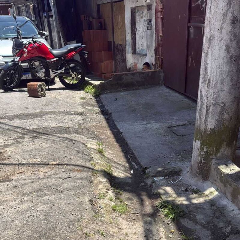 Imagem da publicação