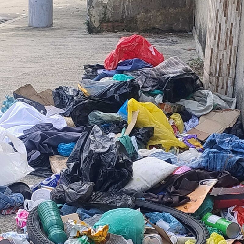 Imagem da publicação