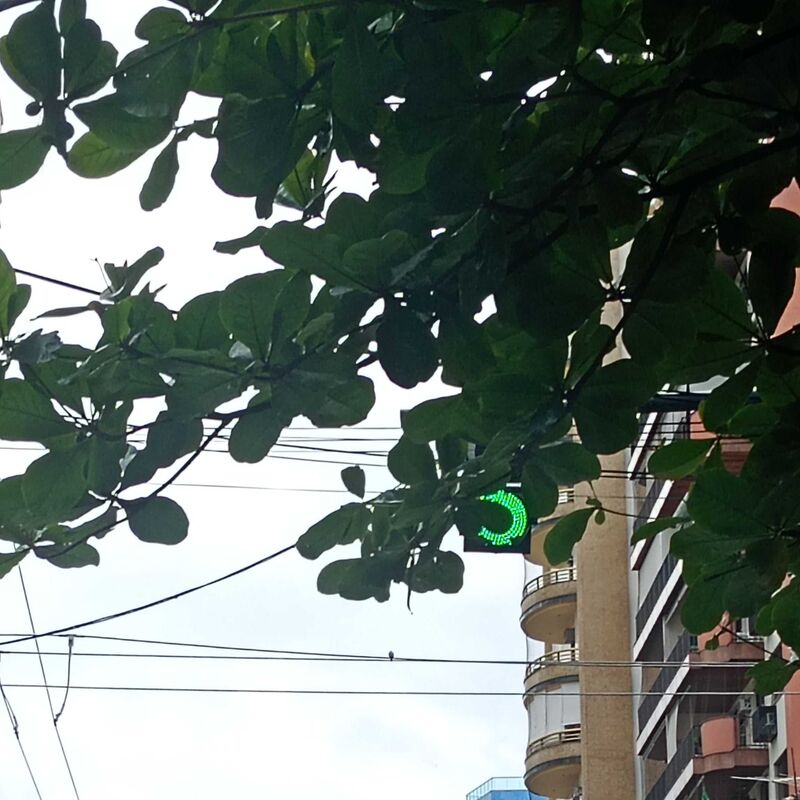 Imagem da publicação