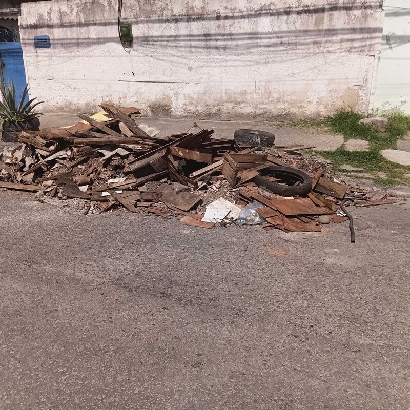 Imagem da publicação