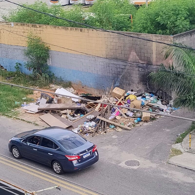 Imagem da publicação