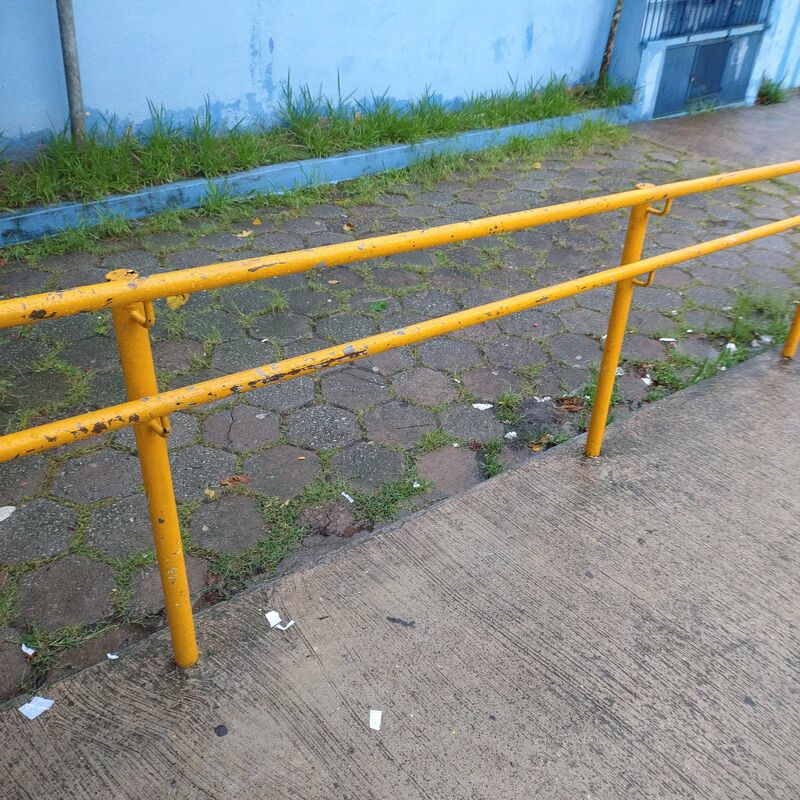 Imagem da publicação