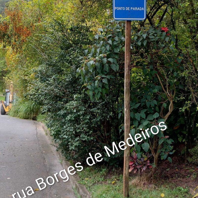 Imagem da publicação