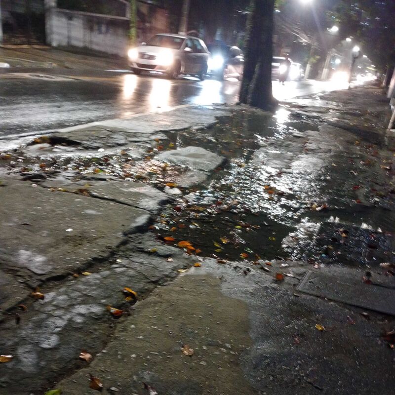 Imagem da publicação