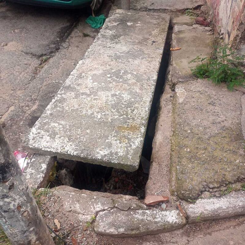 Imagem da publicação