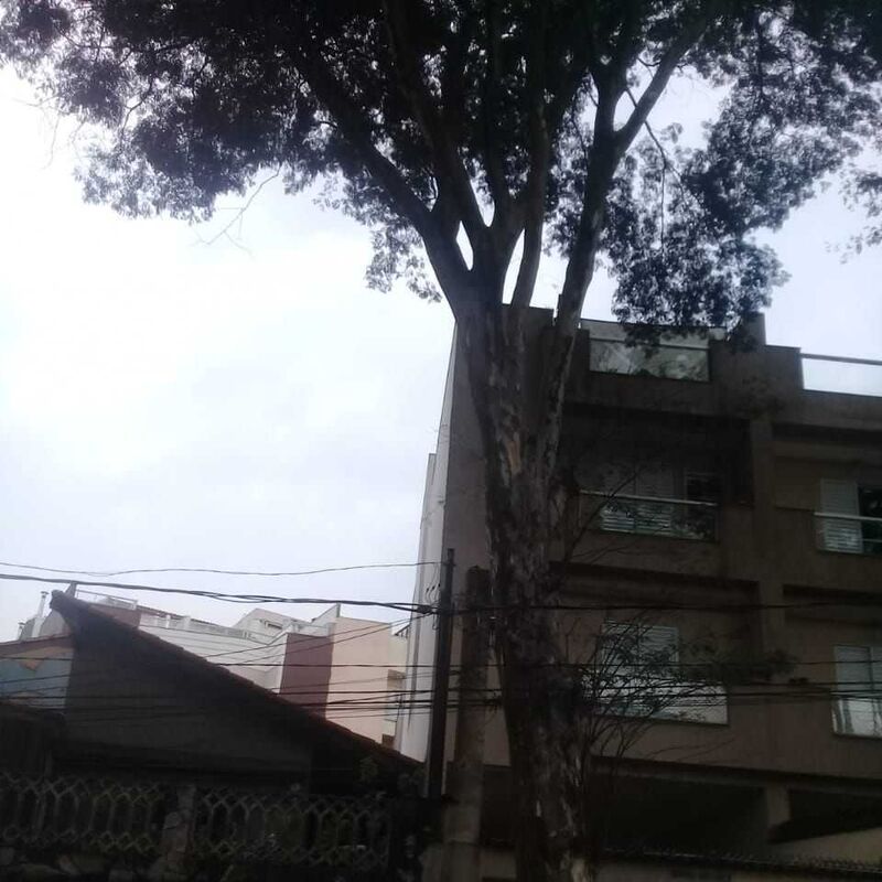 Imagem da publicação