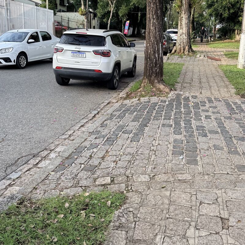 Imagem da publicação