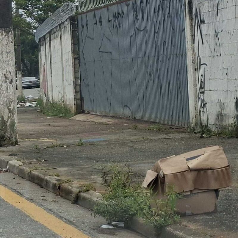 Imagem da publicação