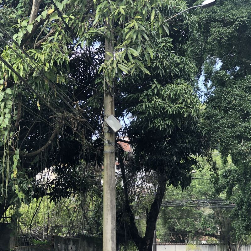 Imagem da publicação
